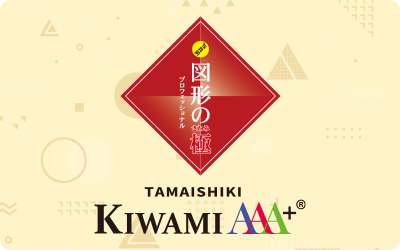 玉井式図形の極み